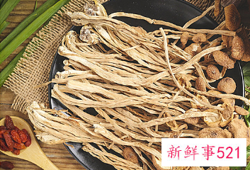 牛肝菌冷冻保存方法