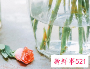 有创意搞笑昵称