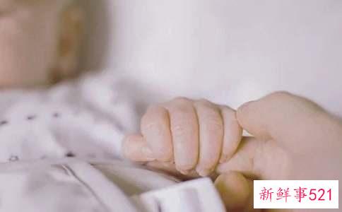 梦见刚出生的小老鼠