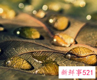 欢迎客人的热情句子