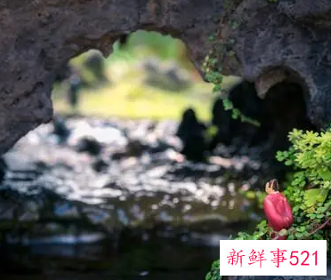 梦见自己从一个洞里钻出来