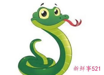 属蛇和属蛇的夫妻结局