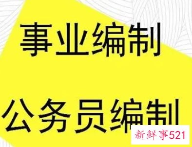 有编制到底是什么意思