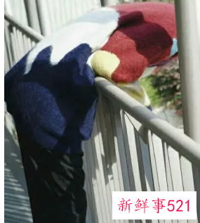 春秋时期女子穿什么衣服