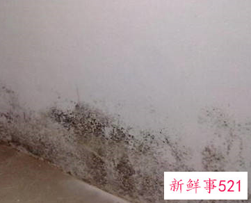 墙壁回潮发霉怎么处理