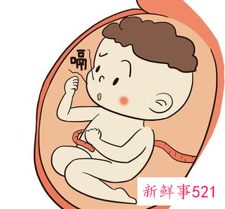 胎儿在子宫睡觉姿势