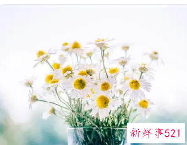 超好听的笔名女生