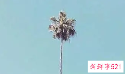 今年很火爆个性的朋友圈说说