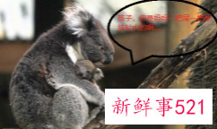 10条笑死人的冷知识