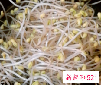 胡萝卜豆芽凉拌的做法窍门