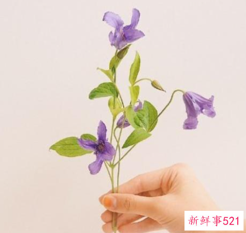 让人无法拒绝的表白短句