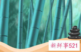 不利家庭风水的植物