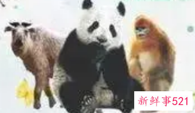 大学生如何保护野生动植物