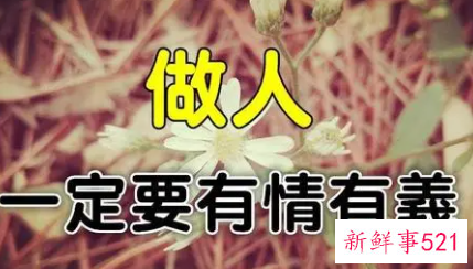 有情有义的经典语录名言