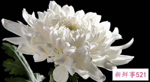 梦见死去的亲人的意思是什么