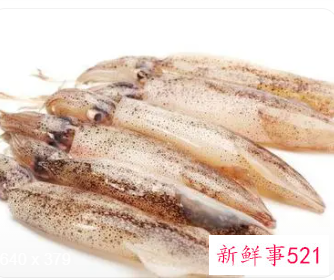 鱿鱼的功效作用