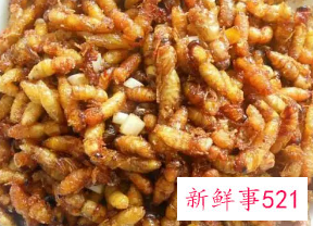 蜂蛹的吃法和功效