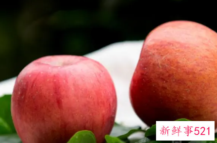 已婚女人梦到好多苹果