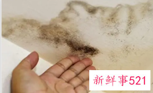 床单上有霉斑用什么清洗