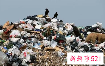 吸入垃圾的臭味会怎样