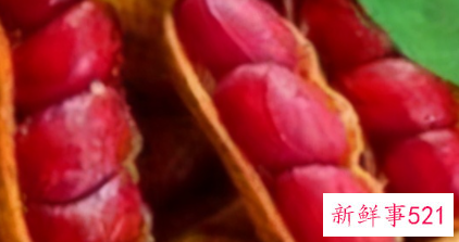 女性养颜根据肤质选食物