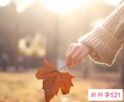 珍惜异性知己的短句