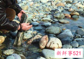 梦见扔石头打人是什么意思