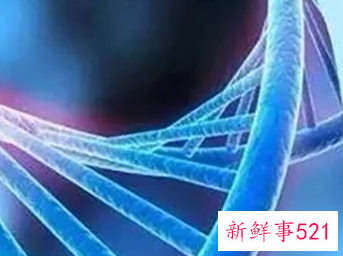 无创产前基因检测是检查低风险