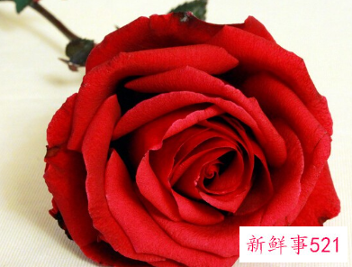 情人节送女朋友什么礼物最好21岁双子座