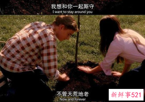 两个相互懂得的人才配余生