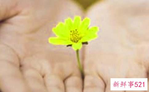 道歉的爱情说说摘抄