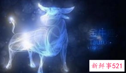 怎么降服金牛男