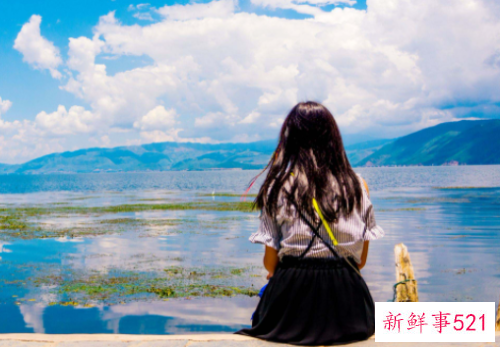 单身汪都有什么心理