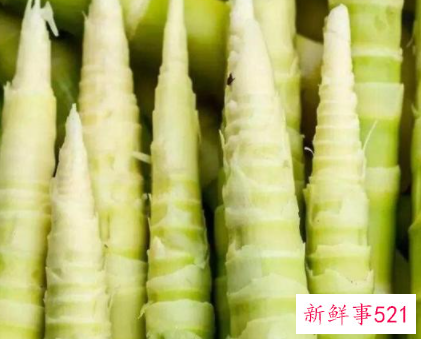 男生不能吃竹笋