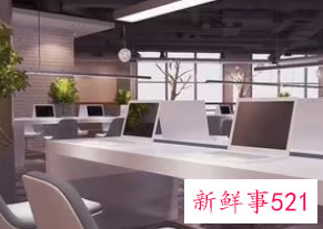 有创意的公司名称