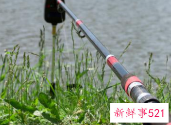 钓鱼用几米的竿最合适