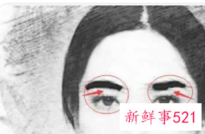 眉毛浓的女人面相