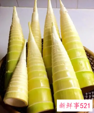 男生不能吃竹笋