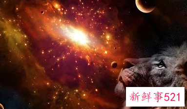喜欢强势的狮子女的星座男有哪些