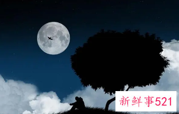 孤独悲伤的网名两个字