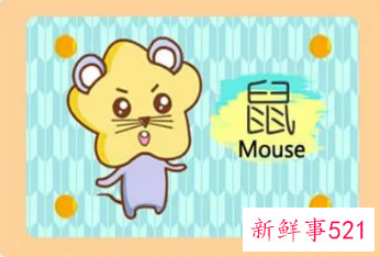 2022年复合的生肖女