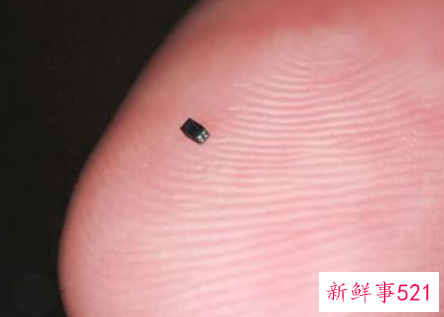 世界上最小的照相机