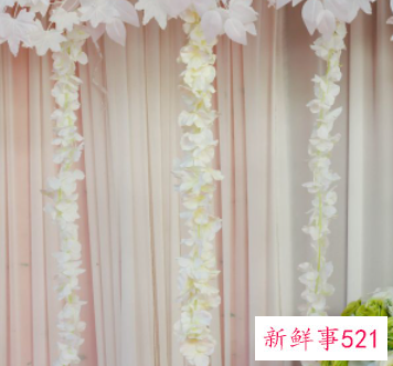 窗帘的面料怎么介绍