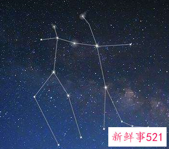 双子女身上有种高级气质