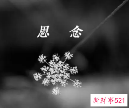 思念的经典短句