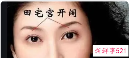 眉毛浓的女人面相