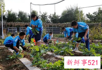 2022年秋季中小学劳动课程内容