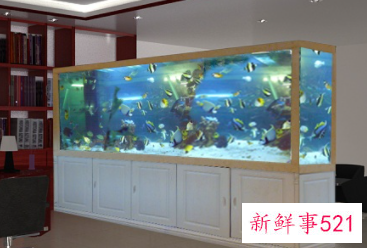 鱼缸风水讲究有哪些