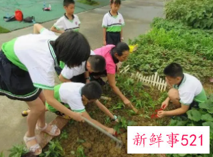 2022年秋季中小学劳动课程内容