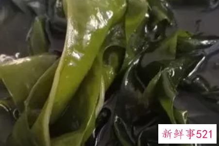 裙带菜怎么洗才能洗干净